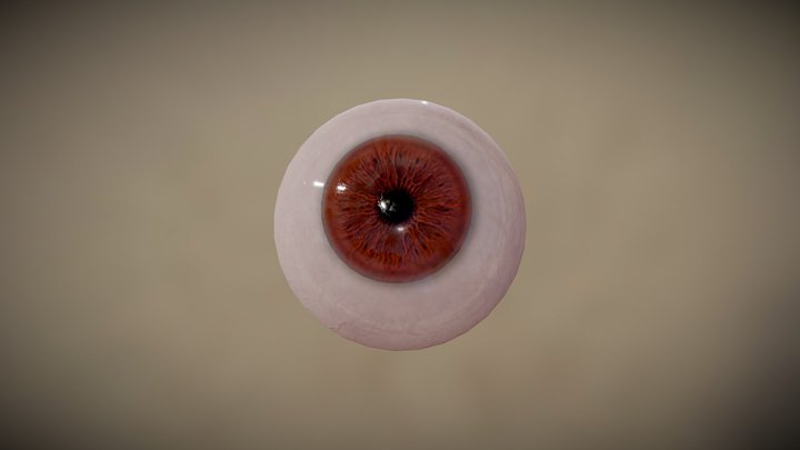 Animated Eye Ball 3D Model