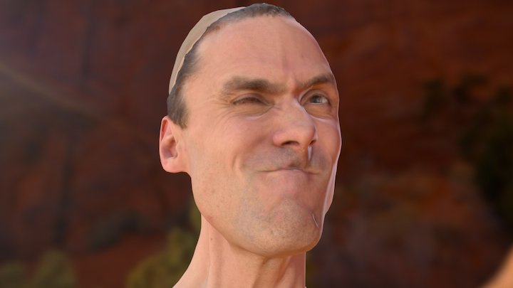 Dave Taylor's Head 3D Model