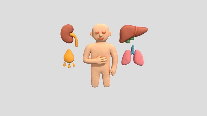 Human Body Elements 3D Model
