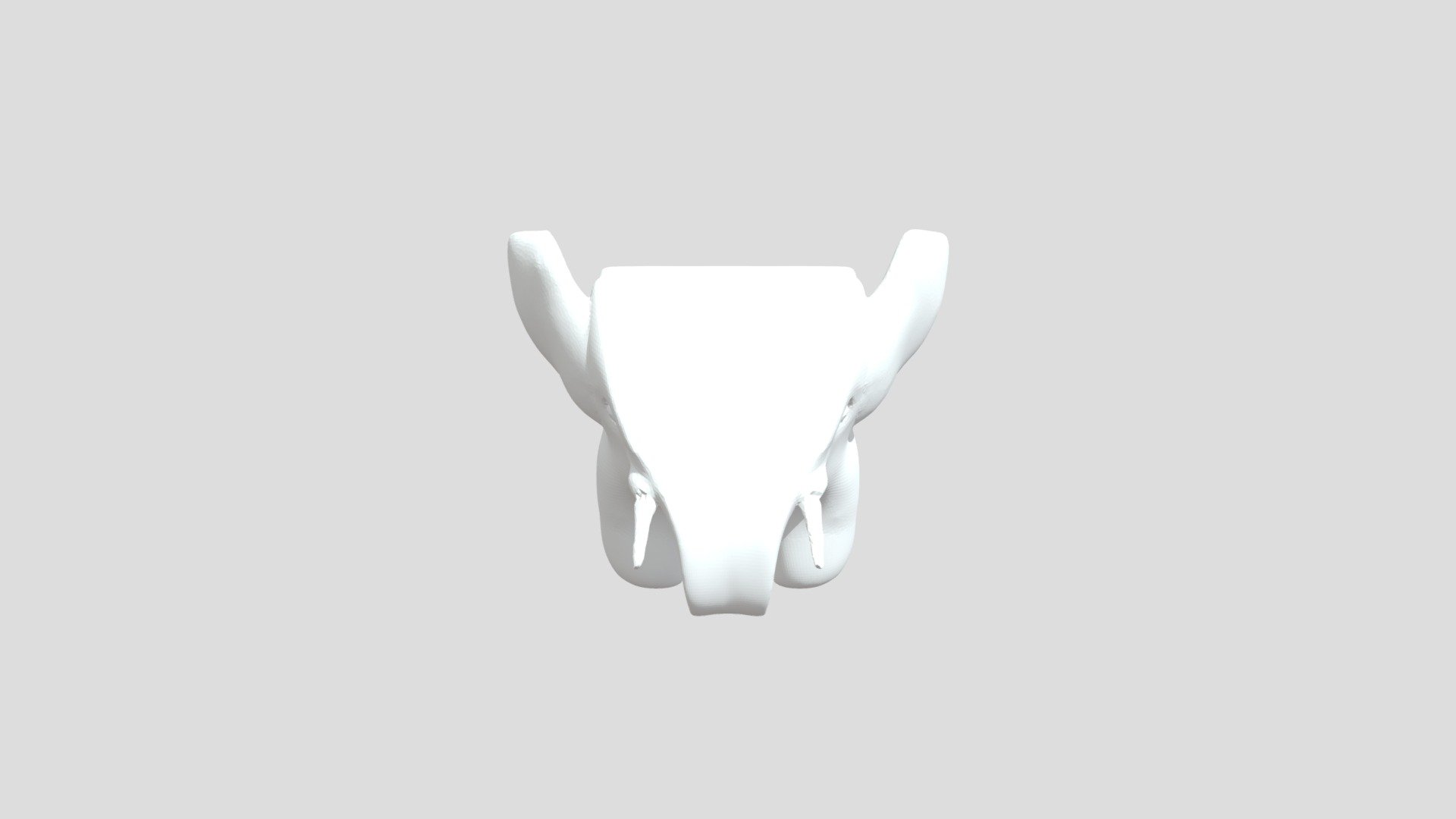 Calvo0308 Elephant02
