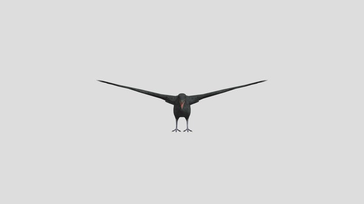 crust bird crow 3D Model