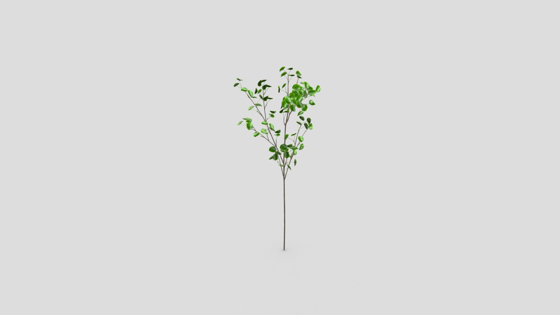 Coin Grass M 3D Model By 22366797 47b820c Sketchfab