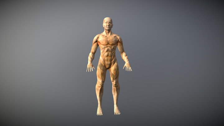 low poly model 3D Model