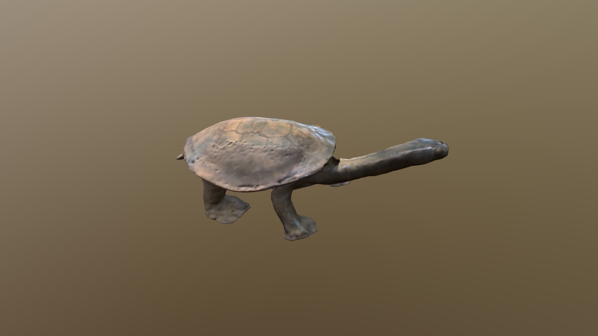Giant Turtle 1