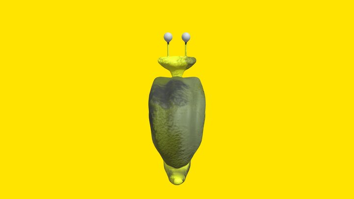 slow seline 3D Model