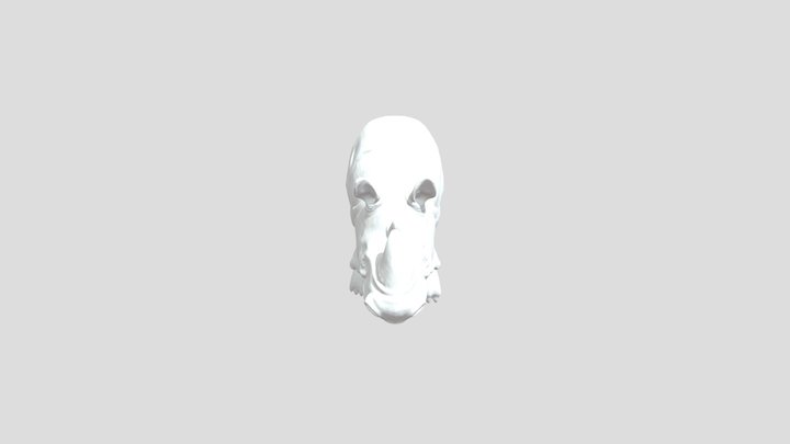 Meshy_AI_ Rhinoceroo_ Jump_0224195926_generate 3D Model