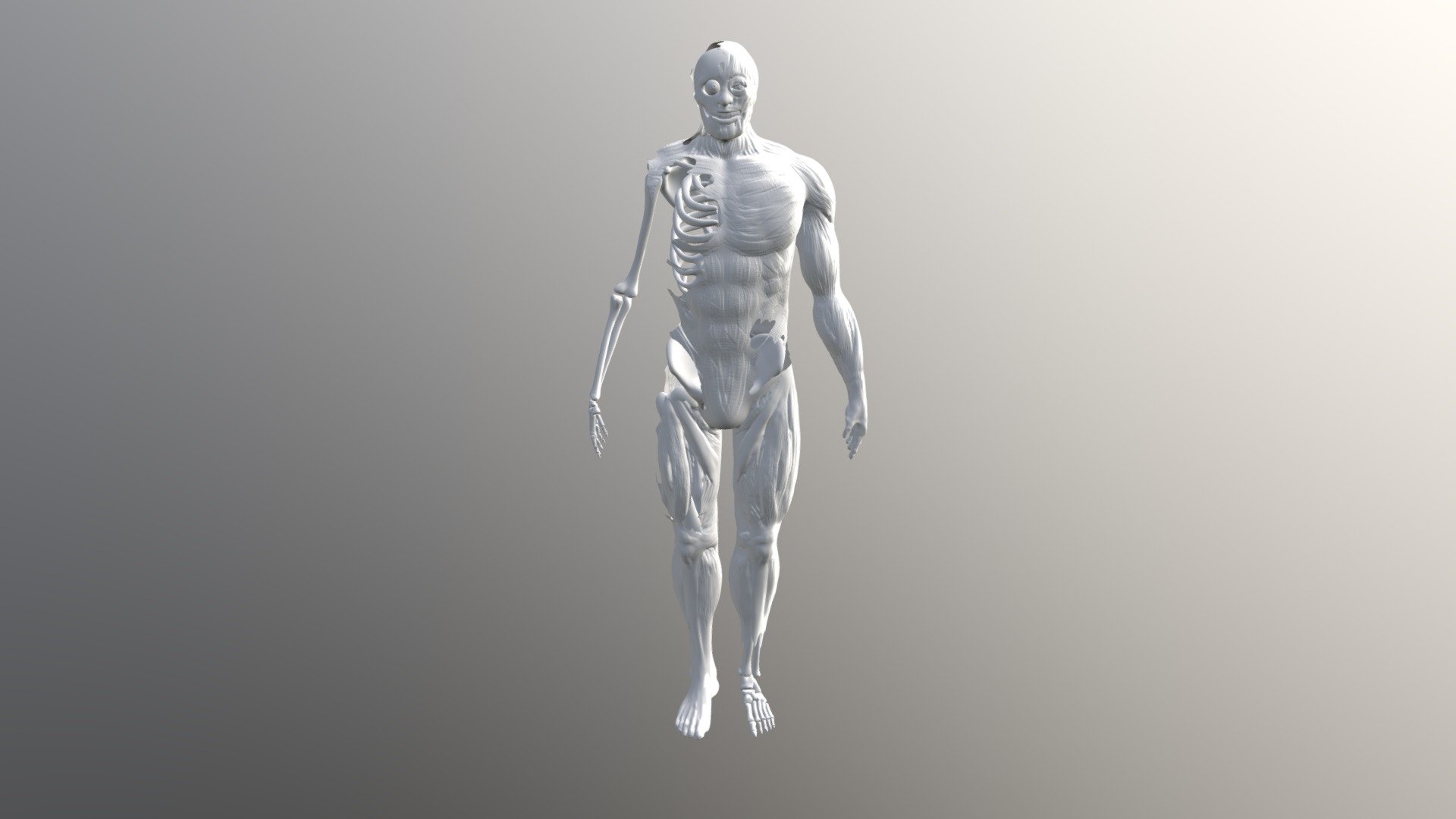 Skeleton & Muscle Creepy Guy - 3D model by SFMikeWang [47be3f7] - Sketchfab