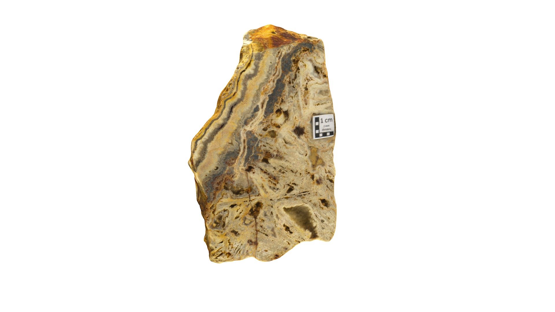 UTas_N18_2