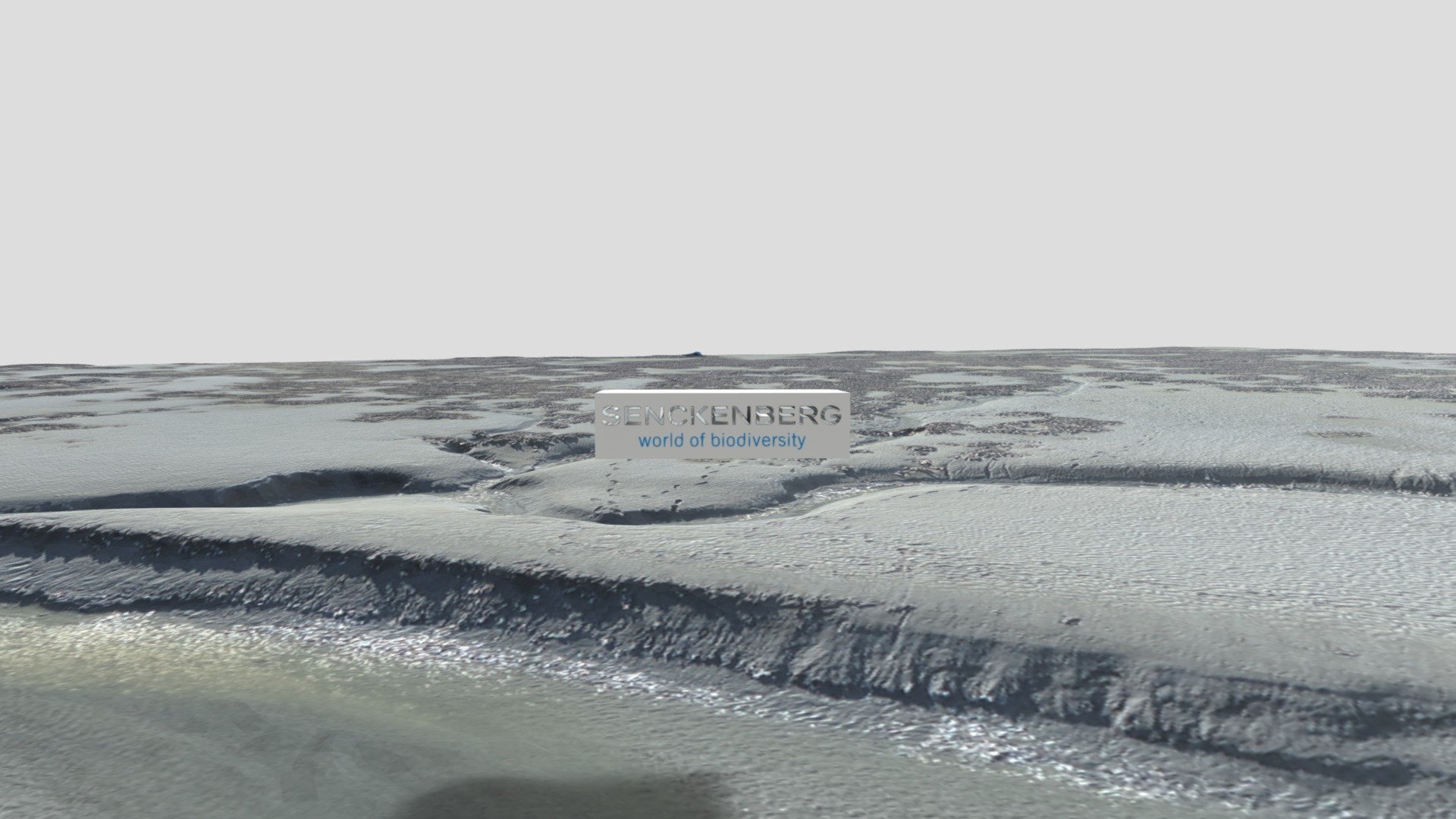 model — Sketchfab embed 3D viewer