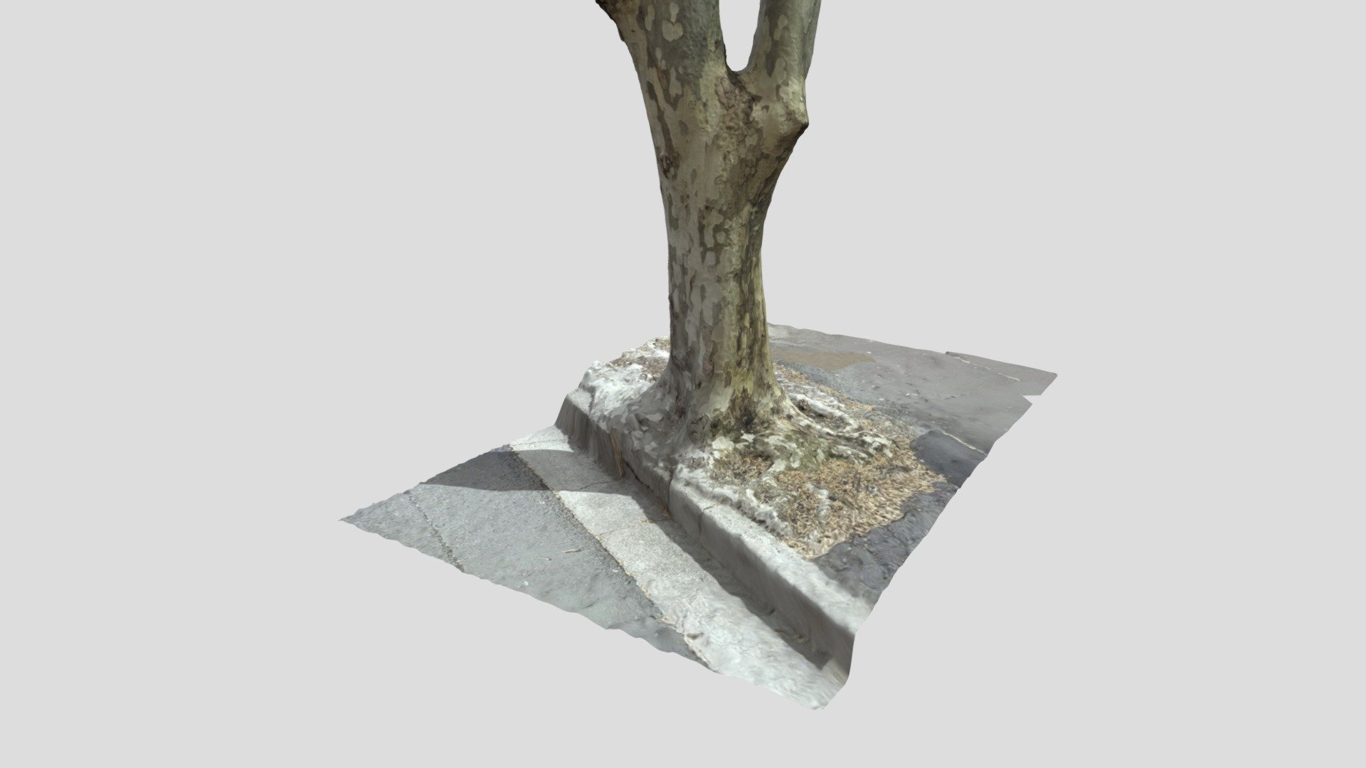 THATTREE