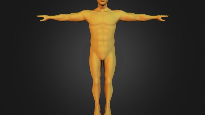 Human body 3D Model