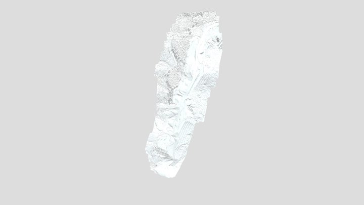 270922 WDV Simplified 3d Mesh 3D Model