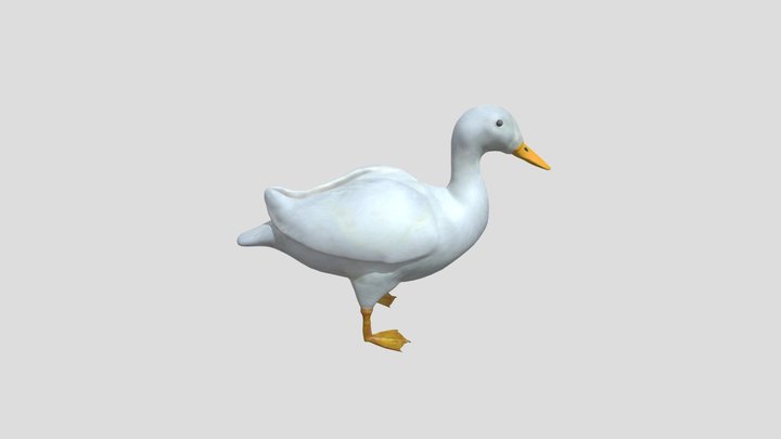 Pato Branco - OFICIAL 3D Model