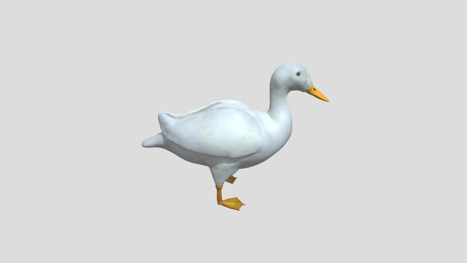 Pato Branco - OFICIAL - 3D model by emersoneiras12 [47cb00e] - Sketchfab