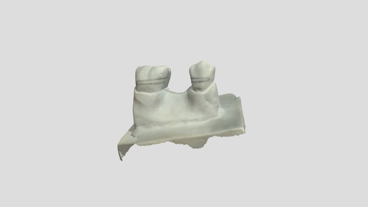 Macro DES 3D Model