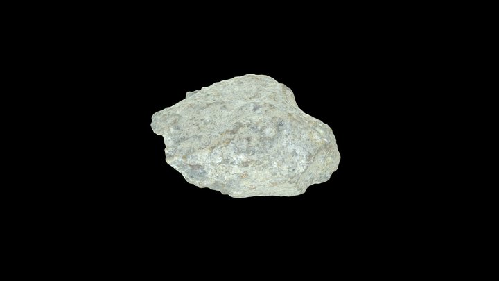 Unscreened RCA ultra high quality mesh 3D Model