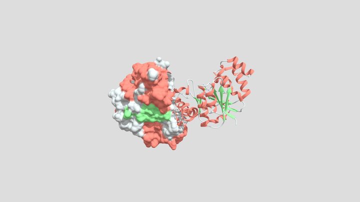 Human glycogenin2 - 4UEG 3D Model