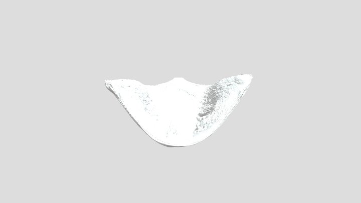 Golden Crescendo 3D Model