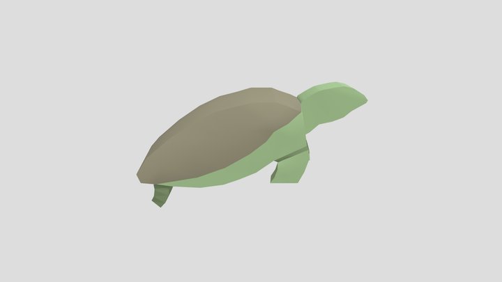 Turtle2 3D Model