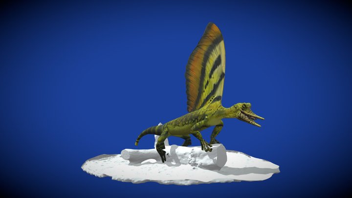 Mirasaura grauvogeli – Modello 3D gratuito STL