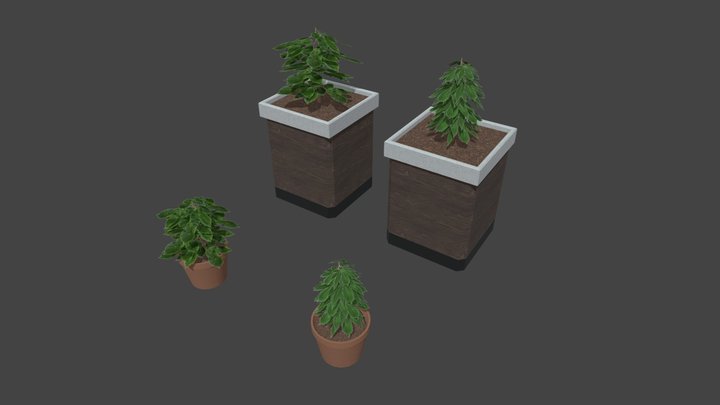 Plants 3D Model