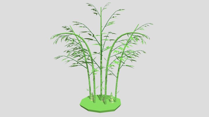 Bamboo Bush 3D Model