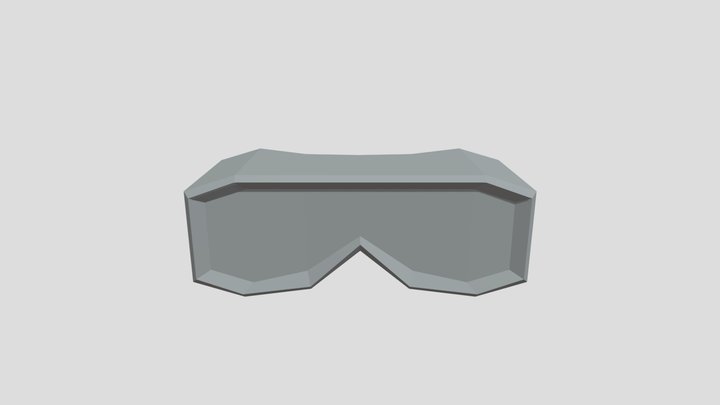 Protection Goggles 3D Model