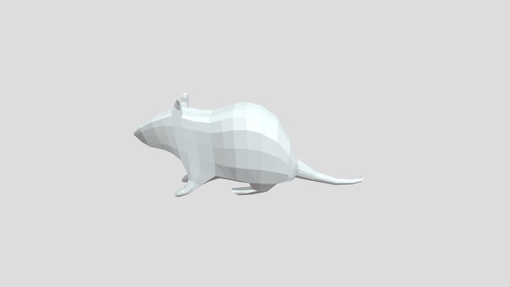 rat 3D Model