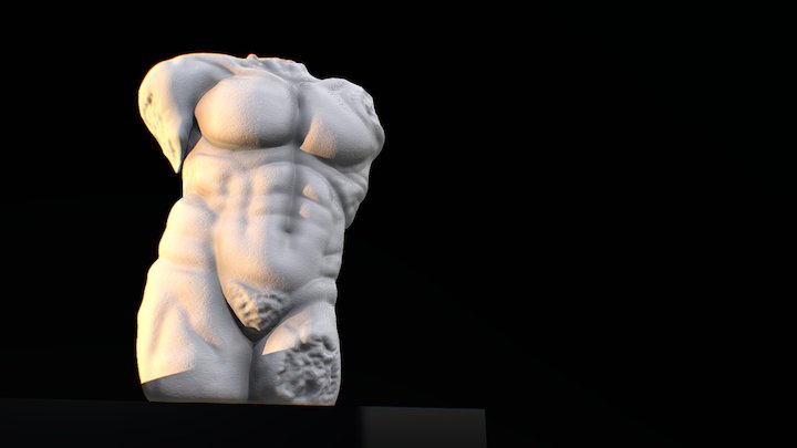 Male Torso - 3D Sculpt 3D Model