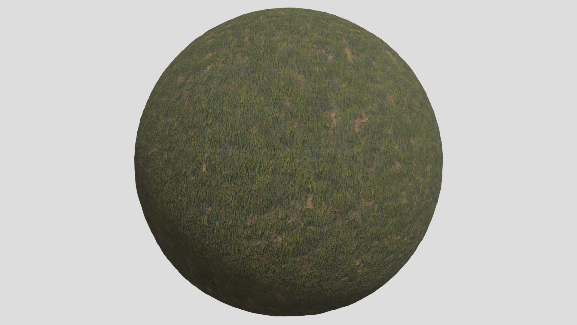 grass07