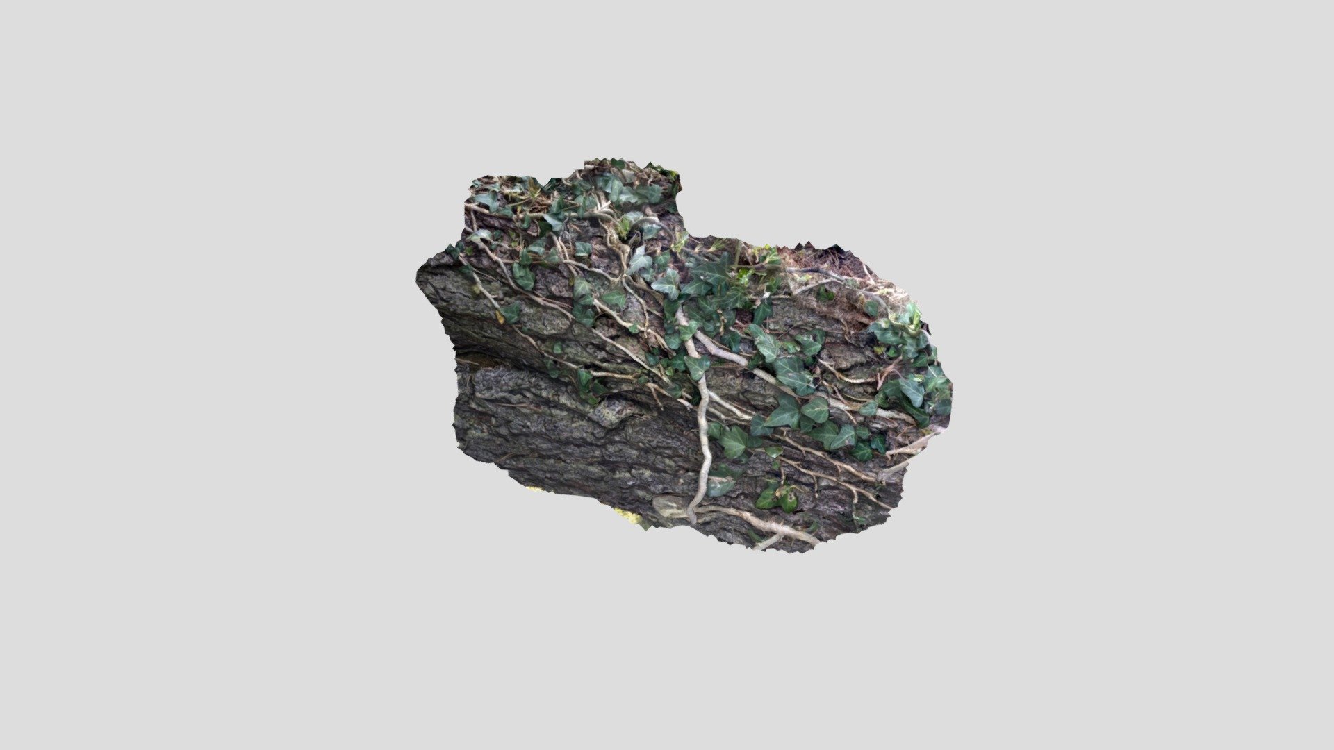 A TRNIO Model