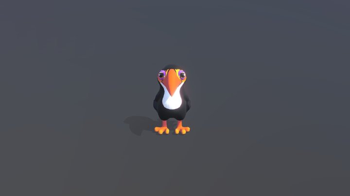 Bird Tucan 3D Model