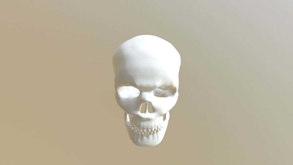 Zkull - 3d Model By Dulce Ledesma (@dulceledesma) [47f1844] - Sketchfab