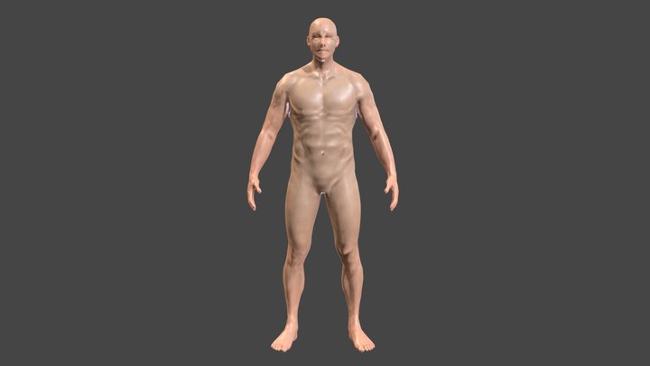 Practise1-1) Man_Body 3D Model