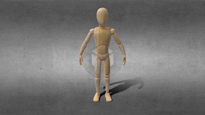 Generic Dummy 3D Model