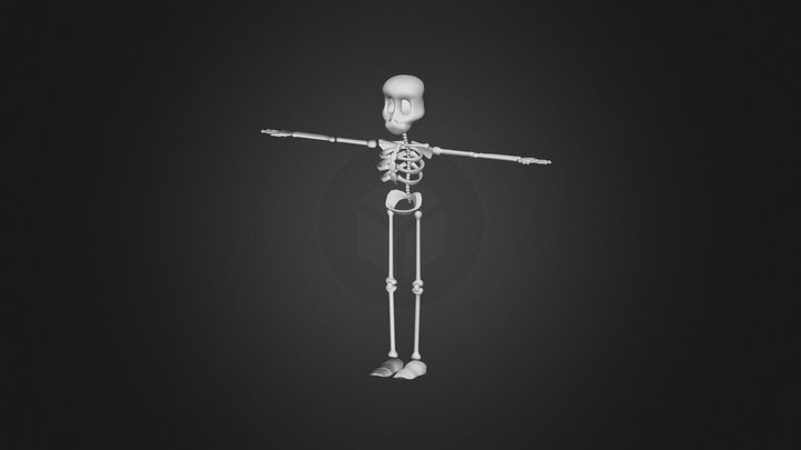 Cartoon skeleton model 3D Model