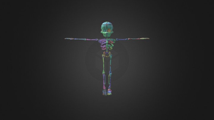 Skeleton Character 3D Model