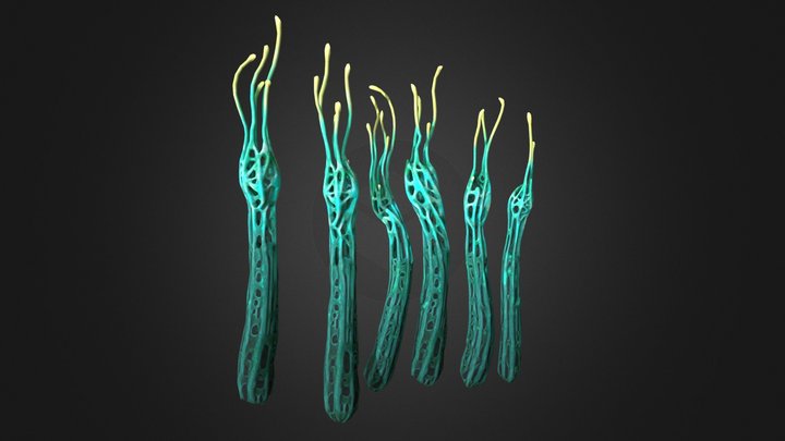 Branching Ice Fungus – Gratis 3D-model STL