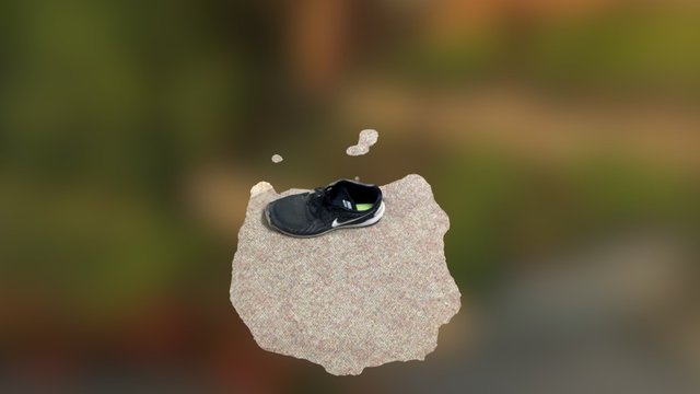 Shoes 3D Model
