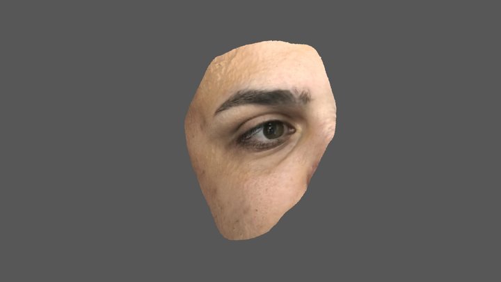 Oculopalpebral 3D Model