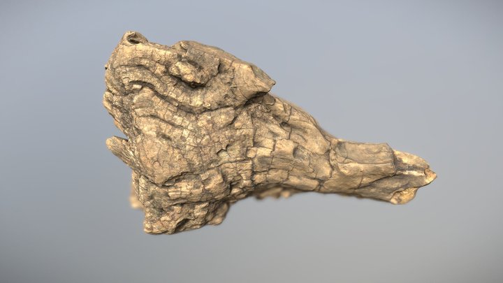 Tree root chunk – Gratis 3D-model STL