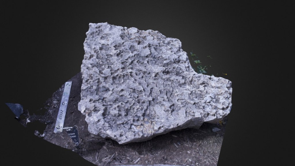 Beekmantown Formation