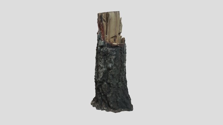 Stump