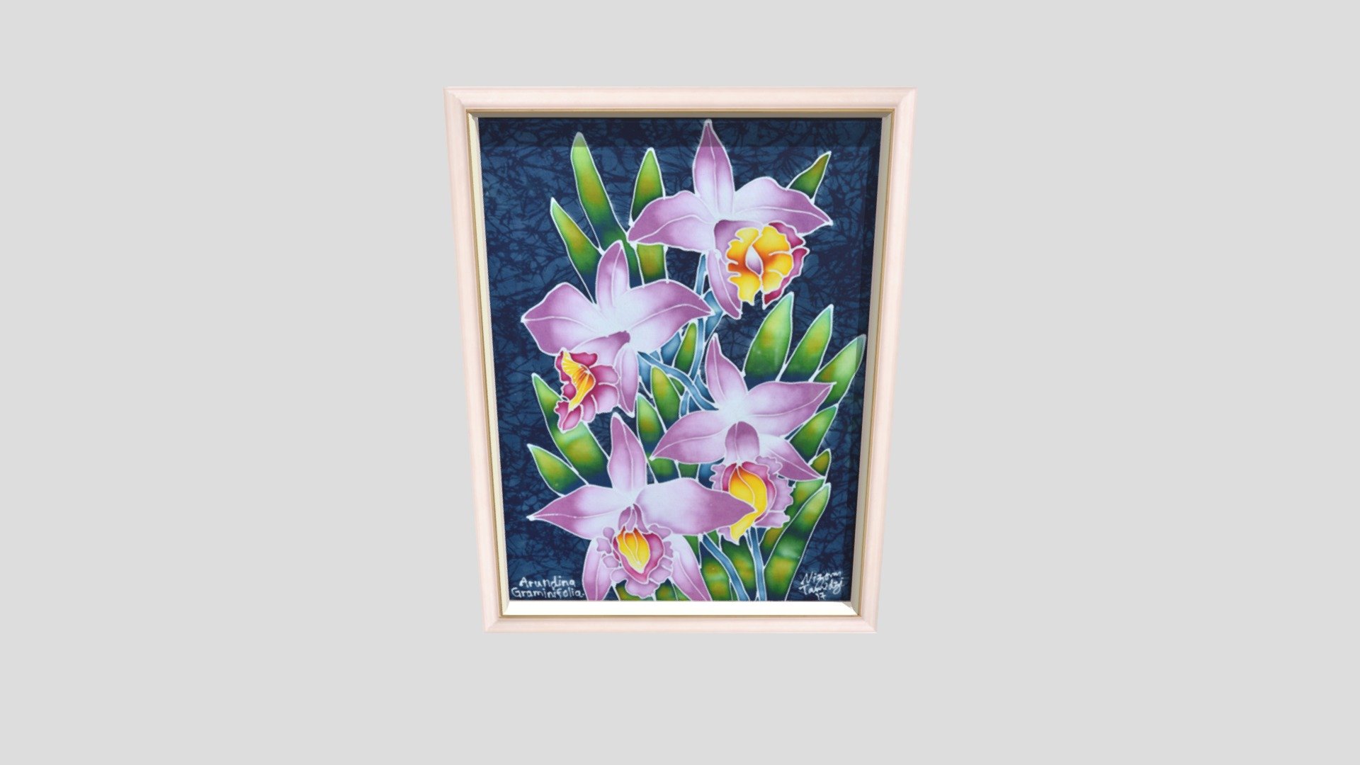 ORCHID_ARUNDINA