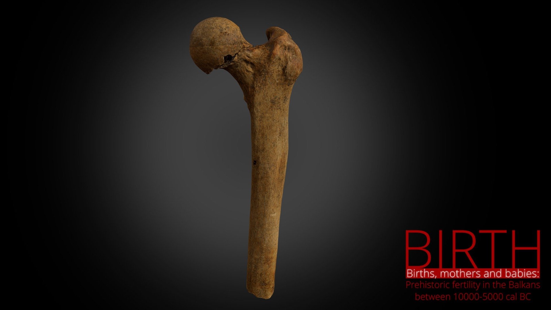 Lepenski vir - grave 73 - femur bone (low poly)