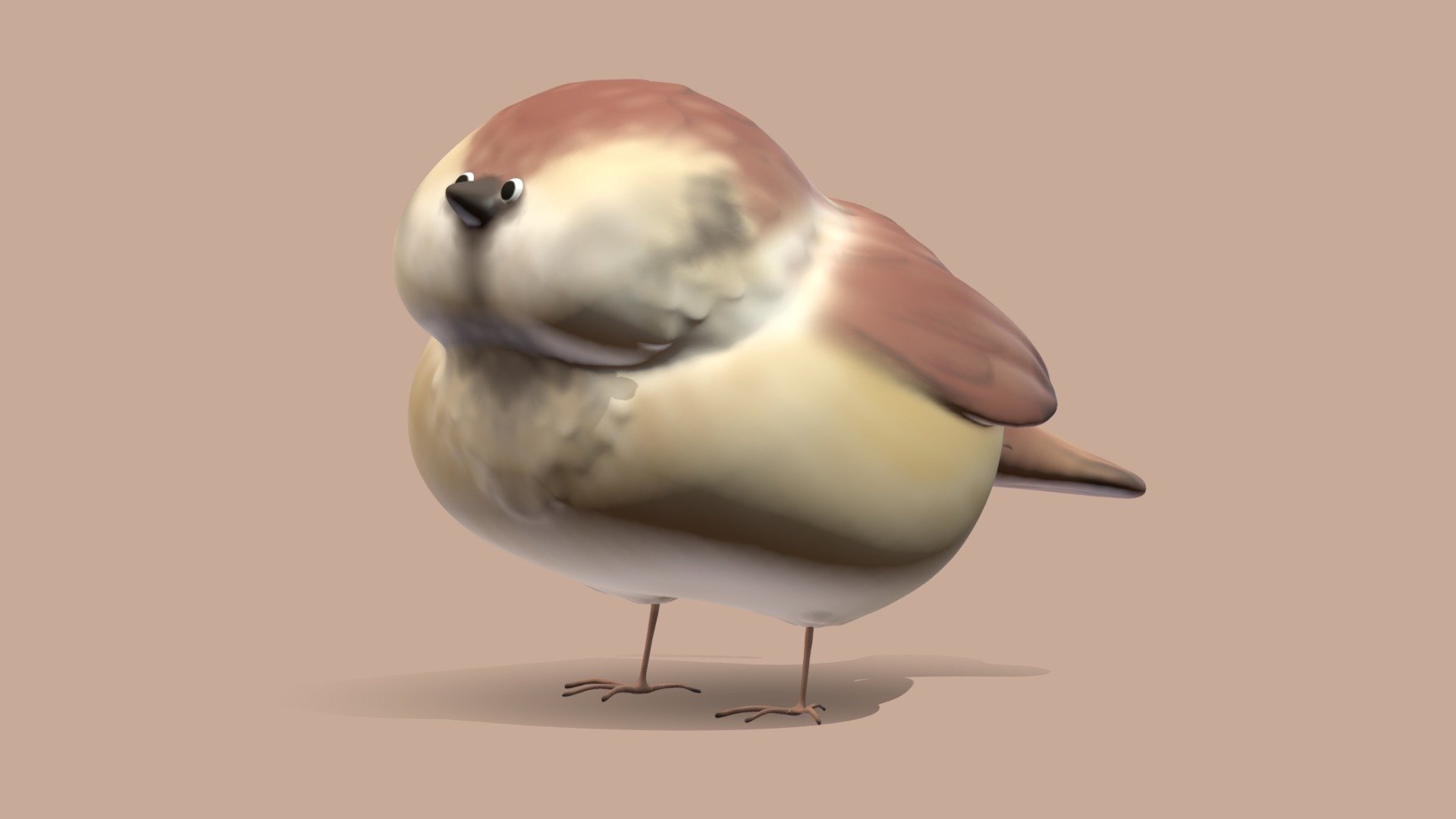 The Sparrow 3rd November 2021