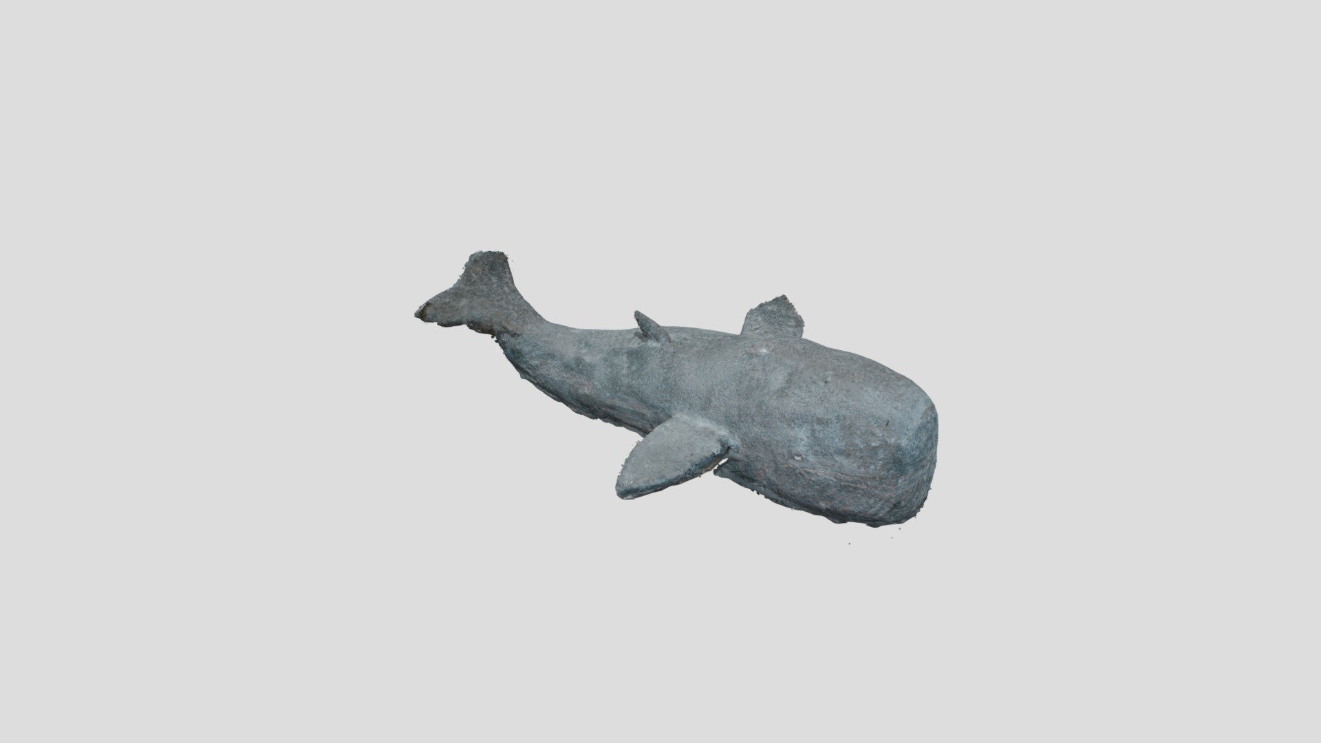 3D Whale