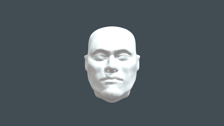 First Head Sculpt 3D Model