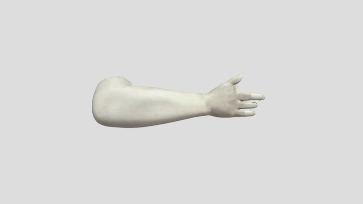 Farnesischer Stier - r. Arm Antiope (G 661) 3D Model