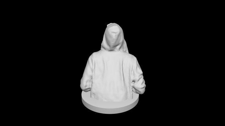 Reine 3D Model